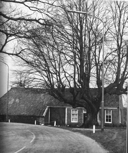 ES_midlaren nijveen_525