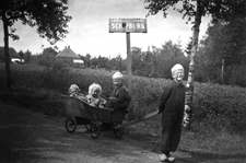 Heidebloempje_2_1947_225