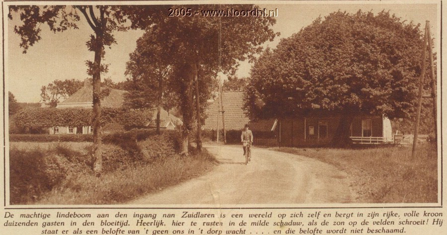 Lindeboom