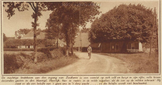 Lindeboom Midlaren_525