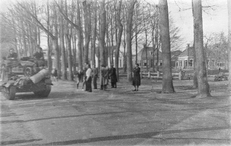 New_timmer-10 New_timmer-10