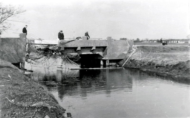 New_timmer-15 New_timmer-15