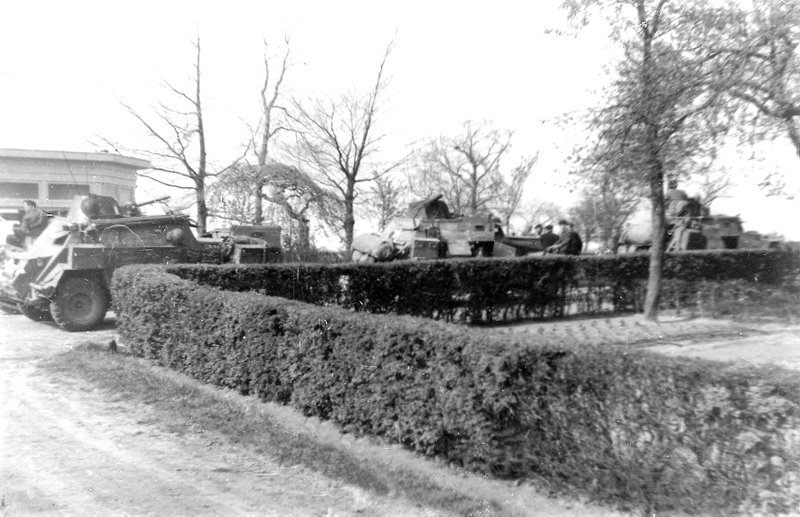 New_timmer-2 New_timmer-2