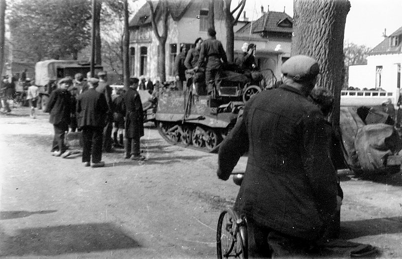 New_timmer-24 New_timmer-24