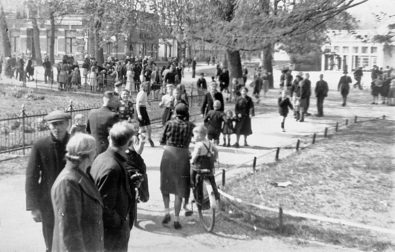 New_timmer-28 New_timmer-28