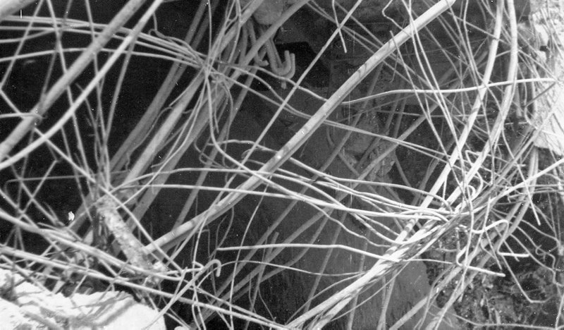 New_timmer-3 New_timmer-3