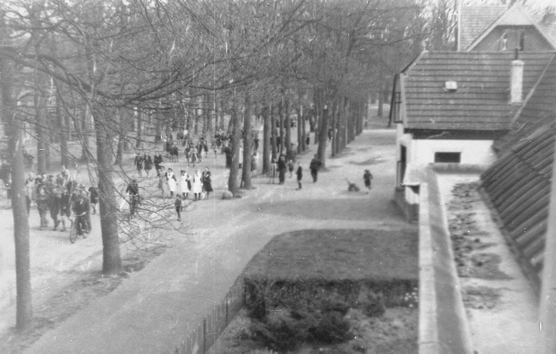 New_timmer-5 New_timmer-5