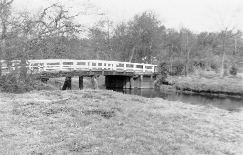 New_timmer-6 New_timmer-6