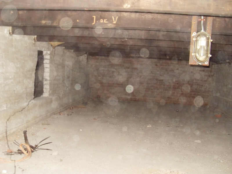 SDC14423
