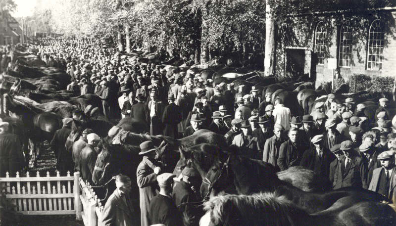 Synagoge_800
