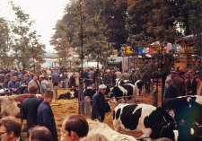 Veemarkt 1_225