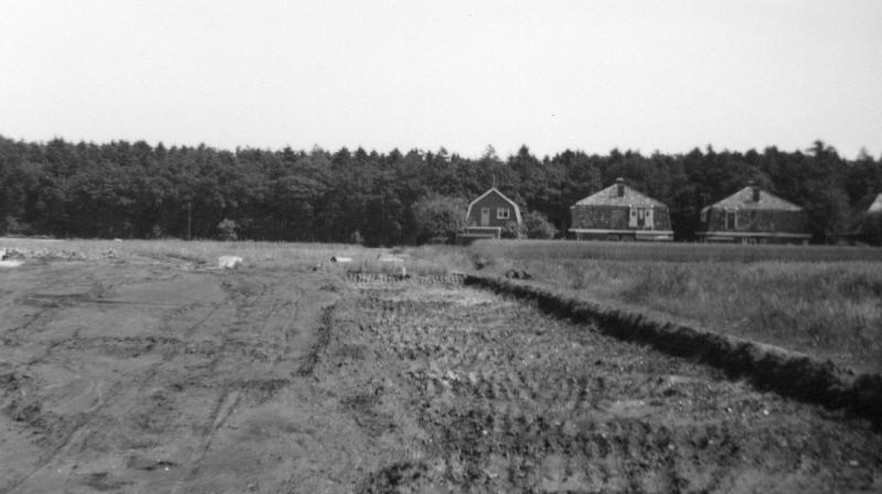 ZG010124016_800