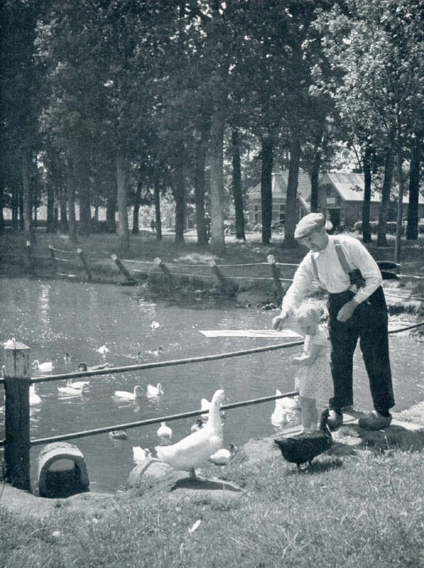 branddobbe nabij Tissingh 1950