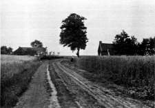 knijpe voor 1950 zandweg met schelpen fietspaadje_225