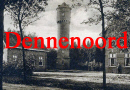 knop_dennenoord_130