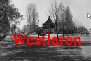 westlaren