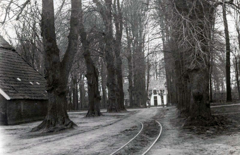 laarwoud met rails 1896_800