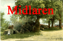 mdlaren knop_132